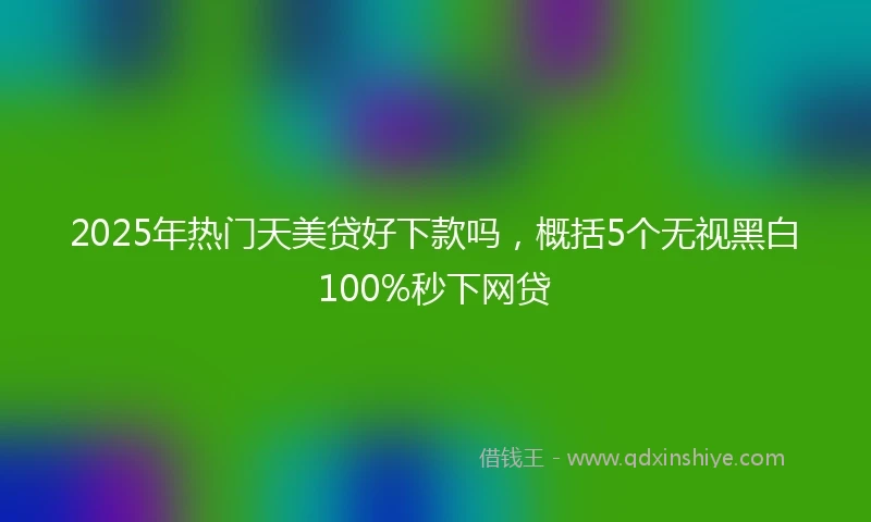 2025年热门天美贷好下款吗，概括5个无视黑白100%秒下网贷