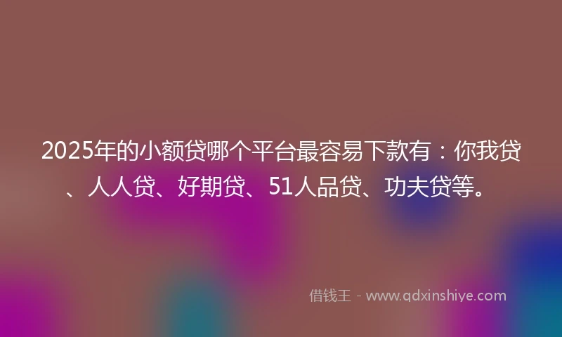 2025年的小额贷哪个平台最容易下款有：你我贷、人人贷、好期贷、51人品贷、功夫贷等。