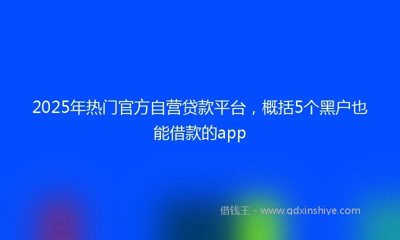 2025年热门官方自营贷款平台，概括5个黑户也能借款的app