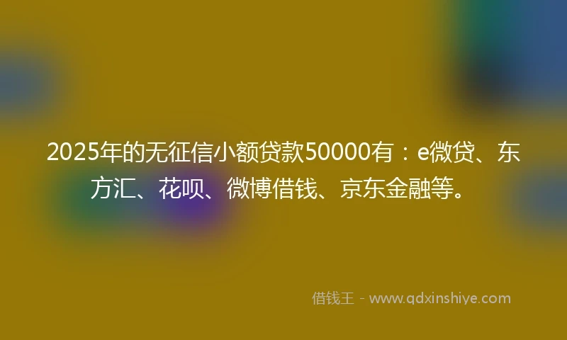 2025年的无征信小额贷款50000有：e微贷、东方汇、花呗、微博借钱、京东金融等。
