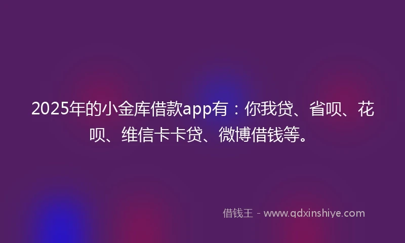 2025年的小金库借款app有：你我贷、省呗、花呗、维信卡卡贷、微博借钱等。