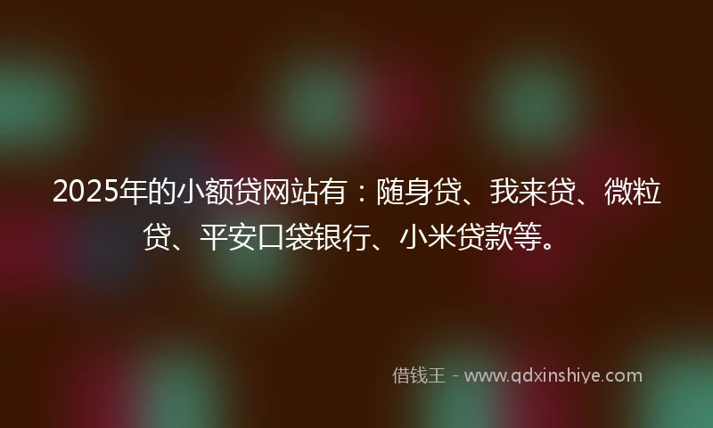 2025年的小额贷网站有：随身贷、我来贷、微粒贷、平安口袋银行、小米贷款等。
