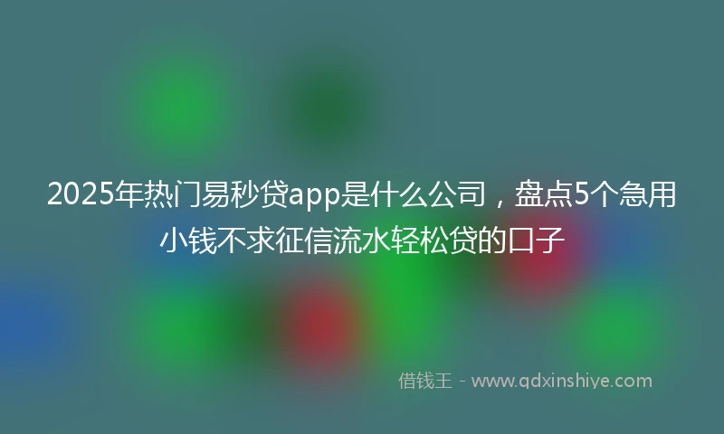 2025年热门易秒贷app是什么公司，盘点5个急用小钱不求征信流水轻松贷的口子