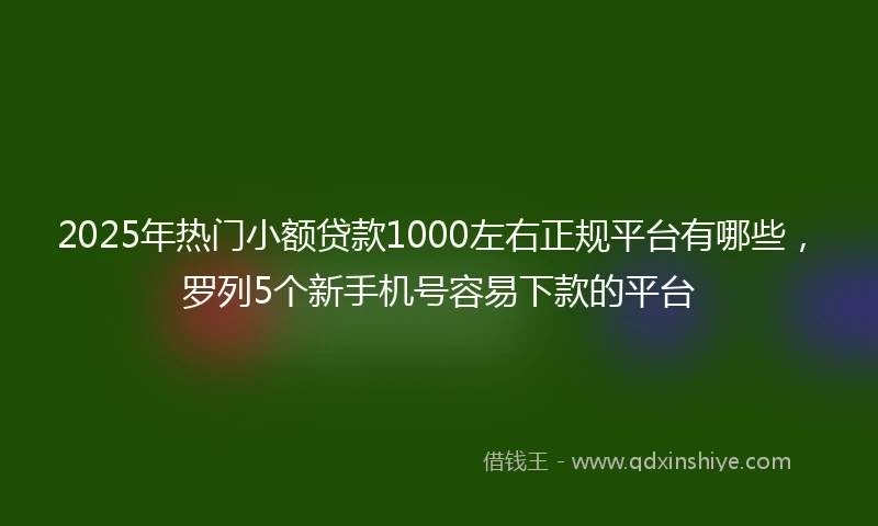 2025年热门小额贷款1000左右正规平台有哪些，罗列5个新手机号容易下款的平台
