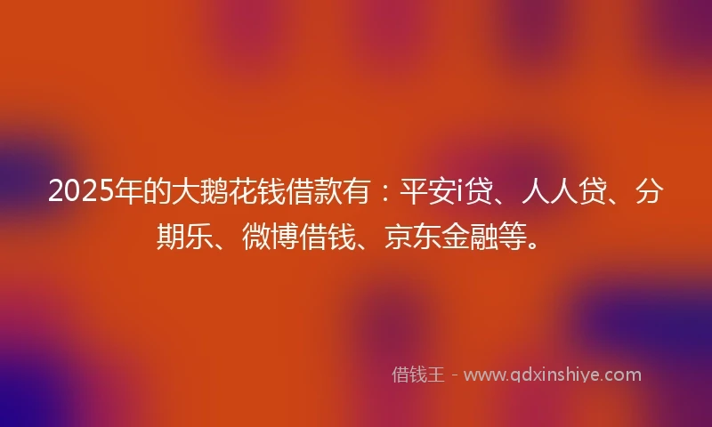 2025年的大鹅花钱借款有：平安i贷、人人贷、分期乐、微博借钱、京东金融等。