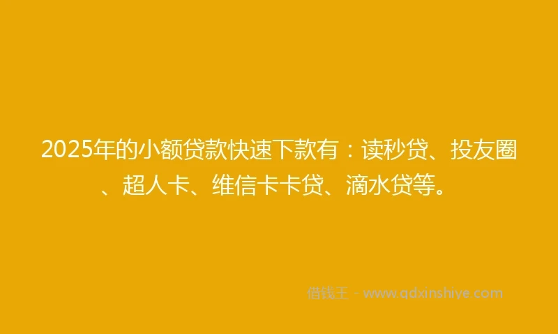 2025年的小额贷款快速下款有：读秒贷、投友圈、超人卡、维信卡卡贷、滴水贷等。
