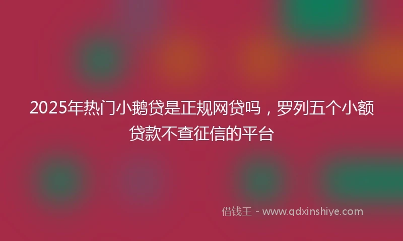 2025年热门小鹅贷是正规网贷吗，罗列五个小额贷款不查征信的平台