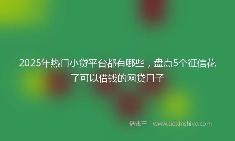 2025年热门小贷平台都有哪些，盘点5个征信花了可以借钱的网贷口子