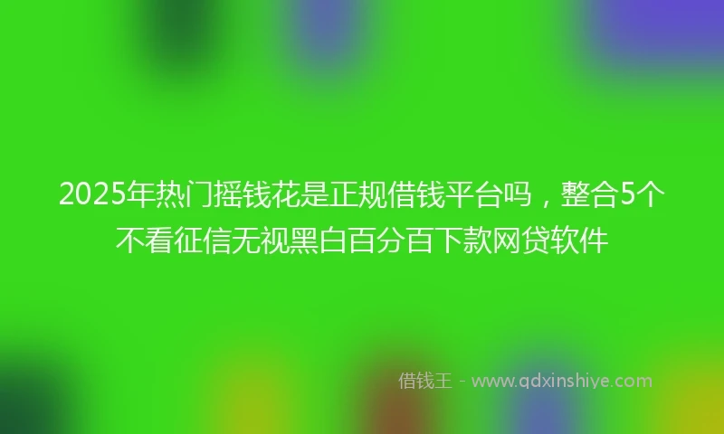 2025年热门摇钱花是正规借钱平台吗，整合5个不看征信无视黑白百分百下款网贷软件