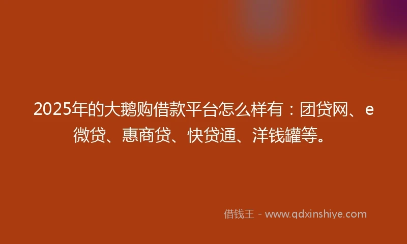 2025年的大鹅购借款平台怎么样有：团贷网、e微贷、惠商贷、快贷通、洋钱罐等。