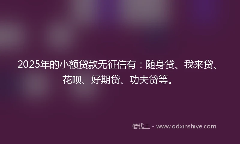 2025年的小额贷款无征信有：随身贷、我来贷、花呗、好期贷、功夫贷等。
