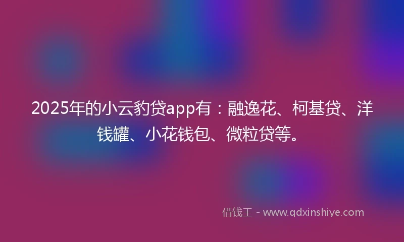 2025年的小云豹贷app有：融逸花、柯基贷、洋钱罐、小花钱包、微粒贷等。