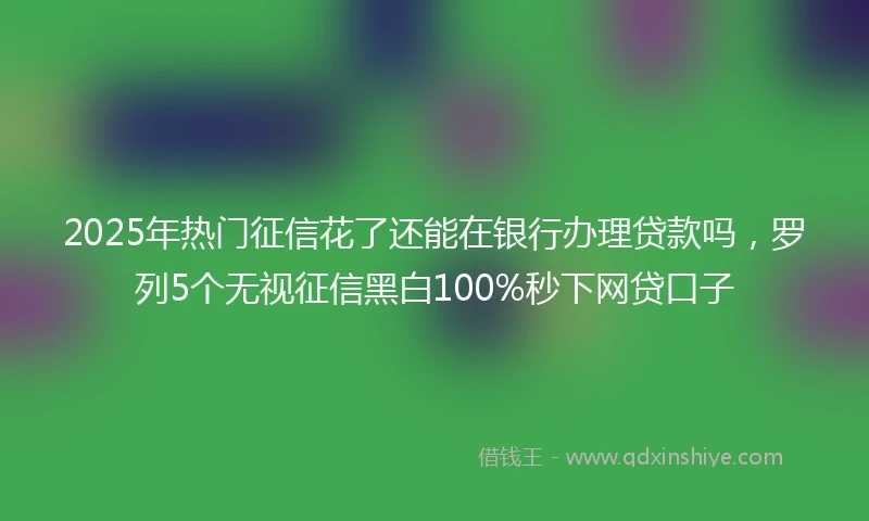 2025年热门征信花了还能在银行办理贷款吗，罗列5个无视征信黑白100%秒下网贷口子
