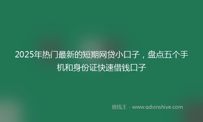 2025年热门最新的短期网贷小口子，盘点五个手机和身份证快速借钱口子