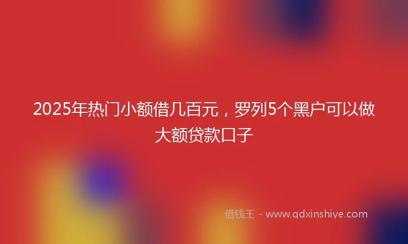 2025年热门小额借几百元，罗列5个黑户可以做大额贷款口子