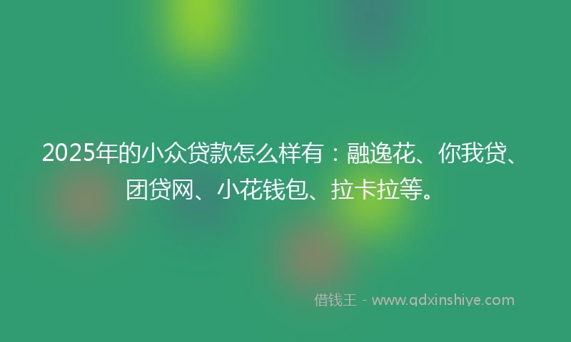 2025年的小众贷款怎么样有：融逸花、你我贷、团贷网、小花钱包、拉卡拉等。