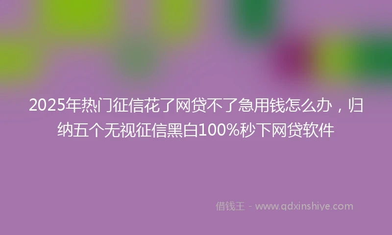 2025年热门征信花了网贷不了急用钱怎么办，归纳五个无视征信黑白100%秒下网贷软件