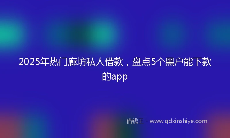 2025年热门廊坊私人借款，盘点5个黑户能下款的app