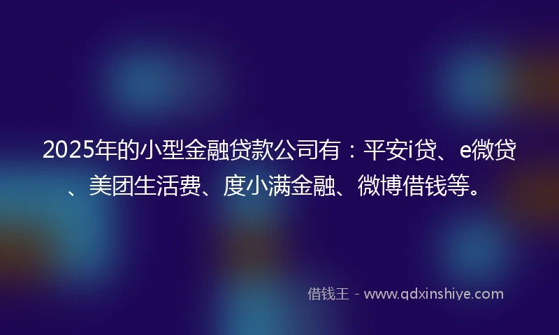 2025年的小型金融贷款公司有：平安i贷、e微贷、美团生活费、度小满金融、微博借钱等。