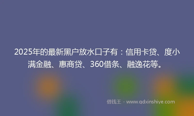 2025年的最新黑户放水口子有：信用卡贷、度小满金融、惠商贷、360借条、融逸花等。