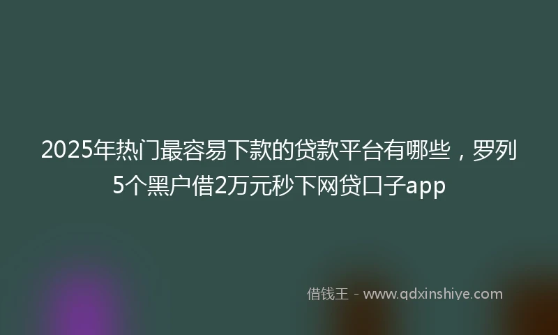 2025年热门最容易下款的贷款平台有哪些，罗列5个黑户借2万元秒下网贷口子app