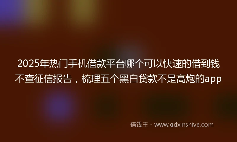 2025年热门手机借款平台哪个可以快速的借到钱不查征信报告，梳理五个黑白贷款不是高炮的app