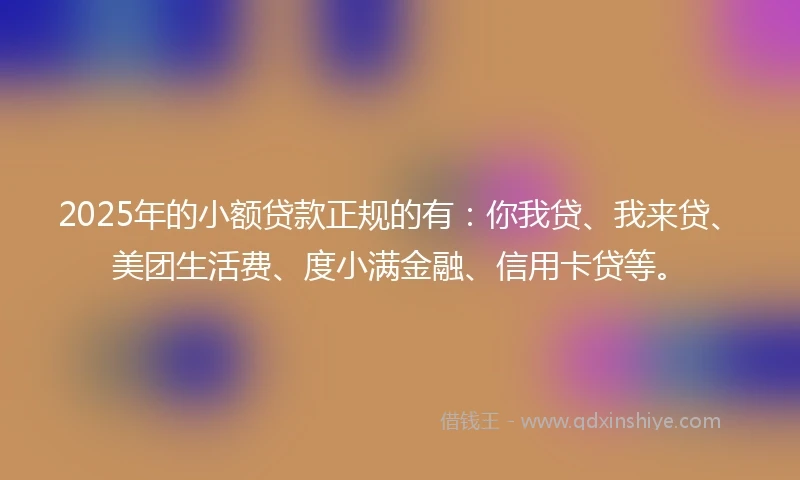 2025年的小额贷款正规的有：你我贷、我来贷、美团生活费、度小满金融、信用卡贷等。