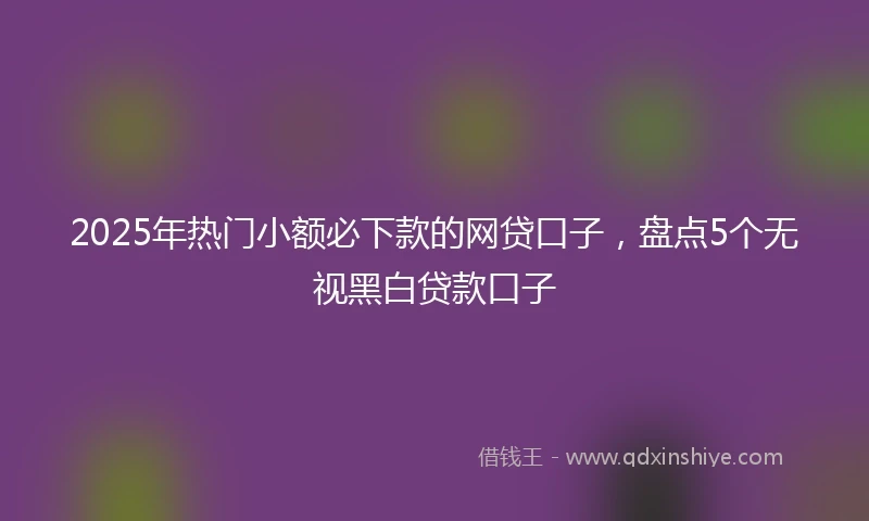 2025年热门小额必下款的网贷口子，盘点5个无视黑白贷款口子