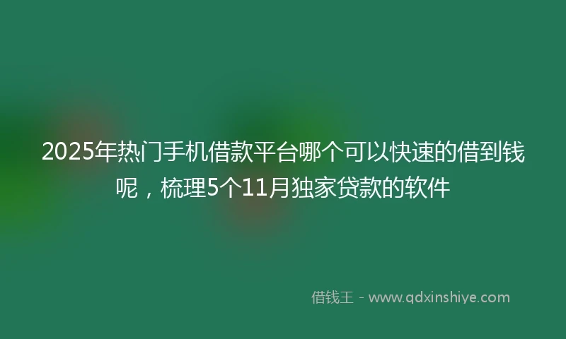 2025年热门手机借款平台哪个可以快速的借到钱呢，梳理5个11月独家贷款的软件