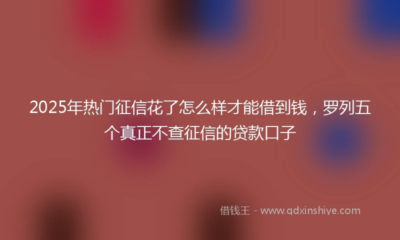2025年热门征信花了怎么样才能借到钱，罗列五个真正不查征信的贷款口子