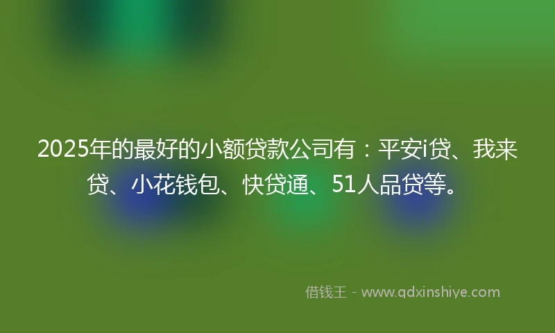 2025年的最好的小额贷款公司有：平安i贷、我来贷、小花钱包、快贷通、51人品贷等。
