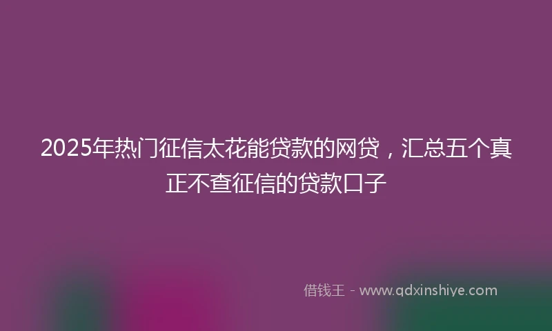 2025年热门征信太花能贷款的网贷，汇总五个真正不查征信的贷款口子