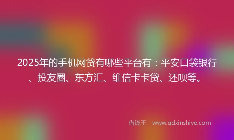 2025年的手机网贷有哪些平台有：平安口袋银行、投友圈、东方汇、维信卡卡贷、还呗等。