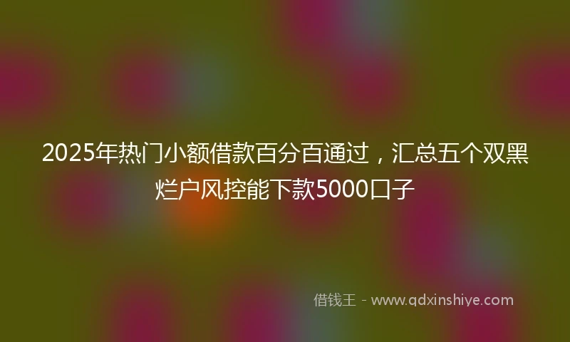 2025年热门小额借款百分百通过，汇总五个双黑烂户风控能下款5000口子