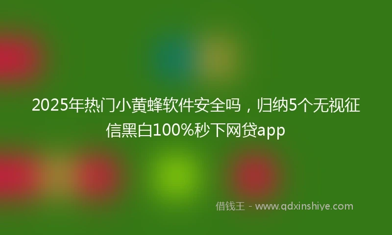 2025年热门小黄蜂软件安全吗，归纳5个无视征信黑白100%秒下网贷app