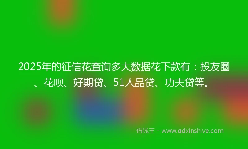 2025年的征信花查询多大数据花下款有：投友圈、花呗、好期贷、51人品贷、功夫贷等。