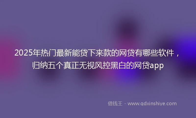 2025年热门最新能贷下来款的网贷有哪些软件，归纳五个真正无视风控黑白的网贷app