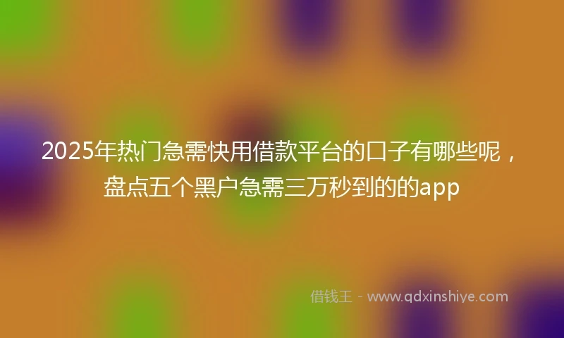2025年热门急需快用借款平台的口子有哪些呢，盘点五个黑户急需三万秒到的的app