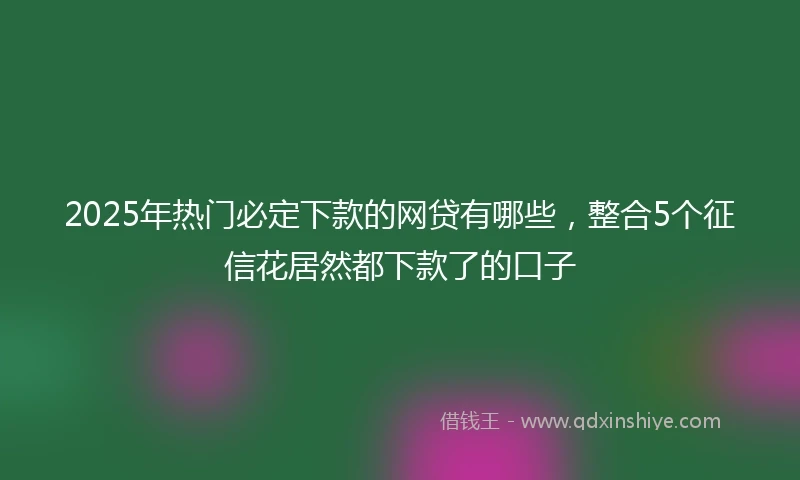 2025年热门必定下款的网贷有哪些，整合5个征信花居然都下款了的口子