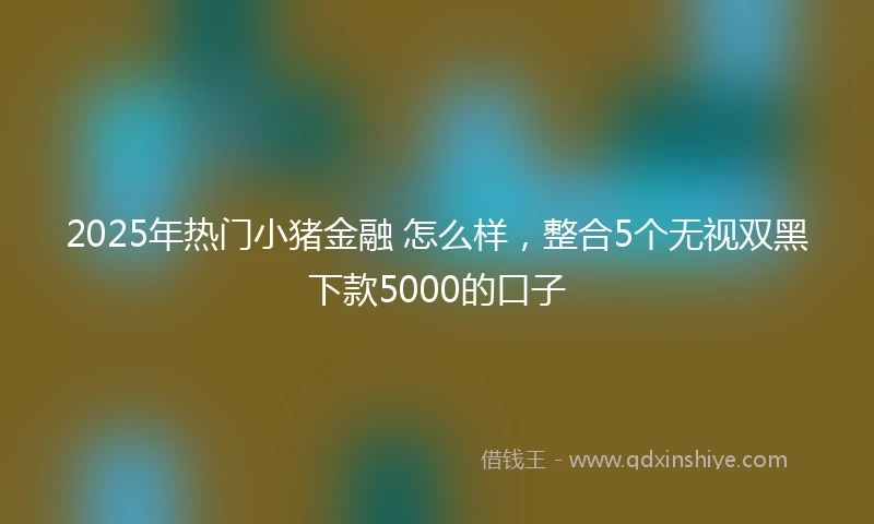 2025年热门小猪金融 怎么样，整合5个无视双黑下款5000的口子