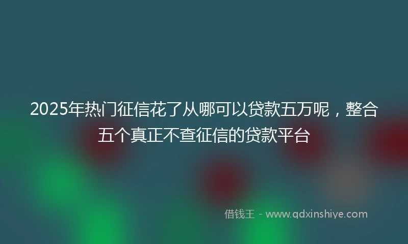 2025年热门征信花了从哪可以贷款五万呢，整合五个真正不查征信的贷款平台