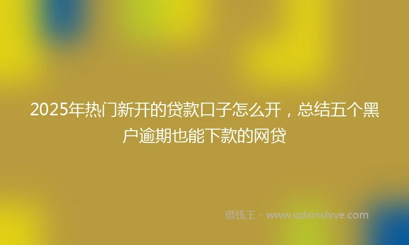 2025年热门新开的贷款口子怎么开，总结五个黑户逾期也能下款的网贷