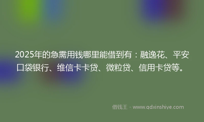 2025年的急需用钱哪里能借到有：融逸花、平安口袋银行、维信卡卡贷、微粒贷、信用卡贷等。