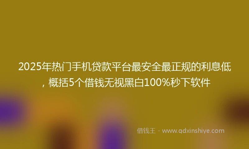 2025年热门手机贷款平台最安全最正规的利息低，概括5个借钱无视黑白100%秒下软件