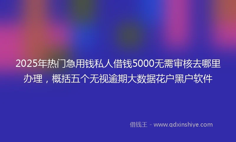 2025年热门急用钱私人借钱5000无需审核去哪里办理，概括五个无视逾期大数据花户黑户软件