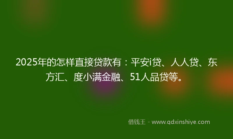 2025年的怎样直接贷款有：平安i贷、人人贷、东方汇、度小满金融、51人品贷等。