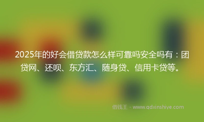 2025年的好会借贷款怎么样可靠吗安全吗有：团贷网、还呗、东方汇、随身贷、信用卡贷等。