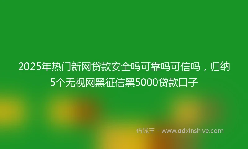 2025年热门新网贷款安全吗可靠吗可信吗，归纳5个无视网黑征信黑5000贷款口子