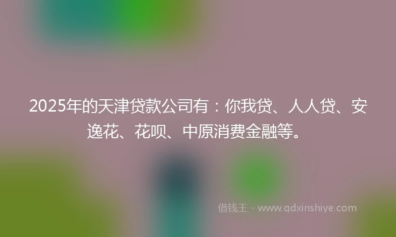 2025年的天津贷款公司有：你我贷、人人贷、安逸花、花呗、中原消费金融等。