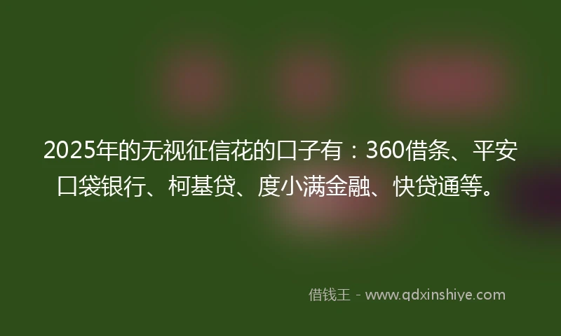 2025年的无视征信花的口子有：360借条、平安口袋银行、柯基贷、度小满金融、快贷通等。